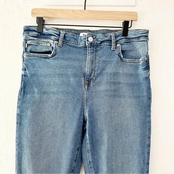 LF Lover's & Friends Ricky Low Rise Stretch Distressed Knee Skinny Jeans31